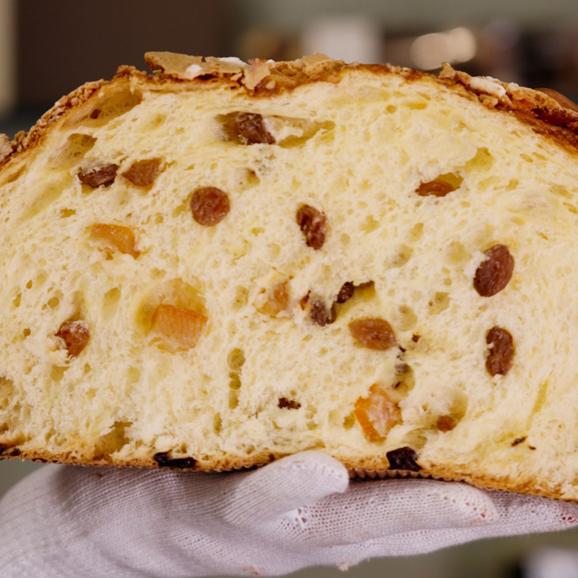 Panettone artigianale classico + crema al pistacchio